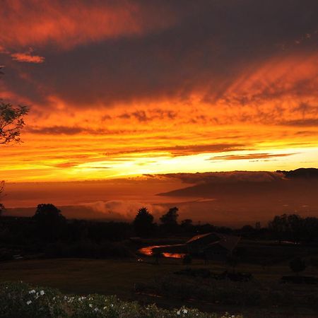 Kula 4200 Villa Bagian luar foto