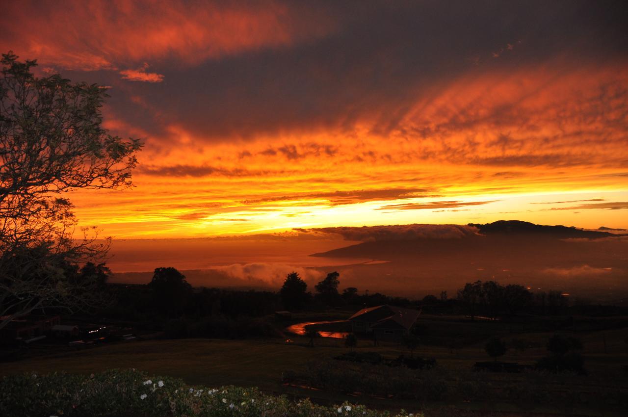 Kula 4200 Villa Bagian luar foto